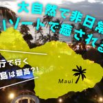 新婚旅行で行くマウイ島は最高？！大自然で非日常なリゾートで癒される旅！の画像