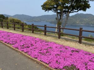 佐伯 空の公園